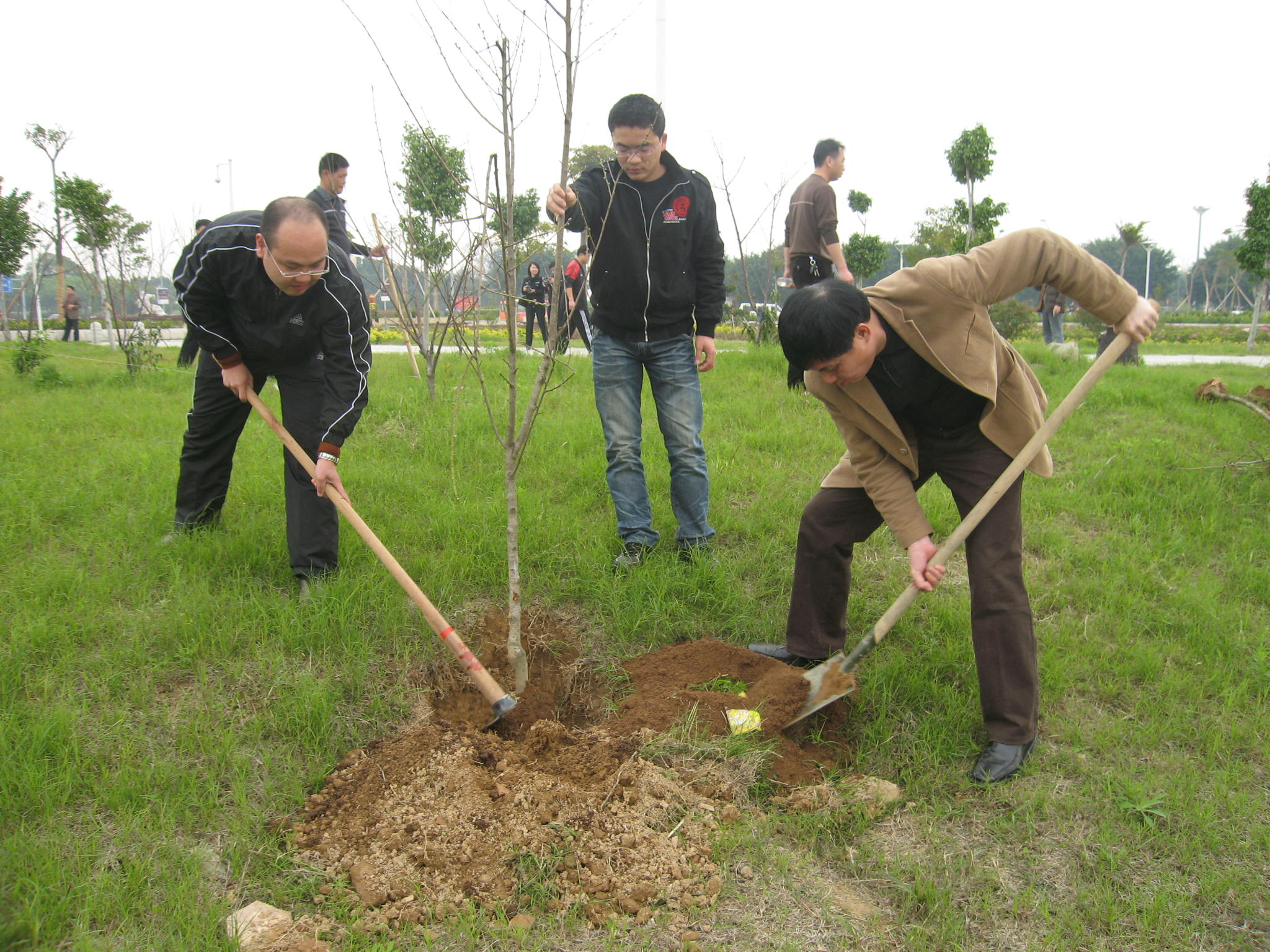 广东：汕头市植树造林逾2万亩