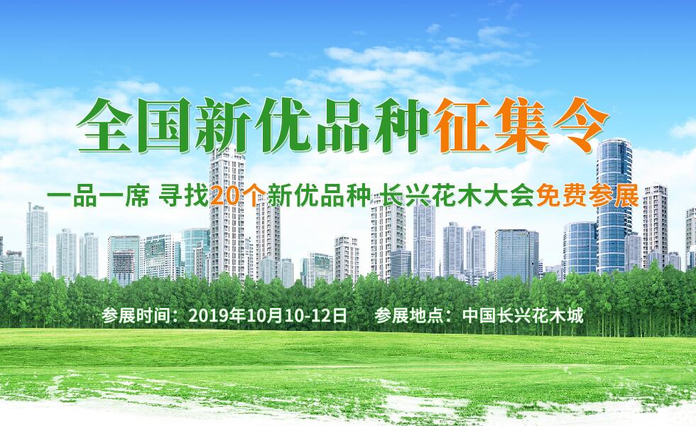 2019中国（长兴）花木大会-全国新优品种征集令