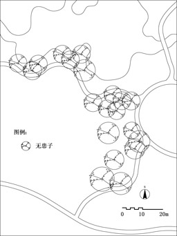 杭州疏林草地植物造景分析